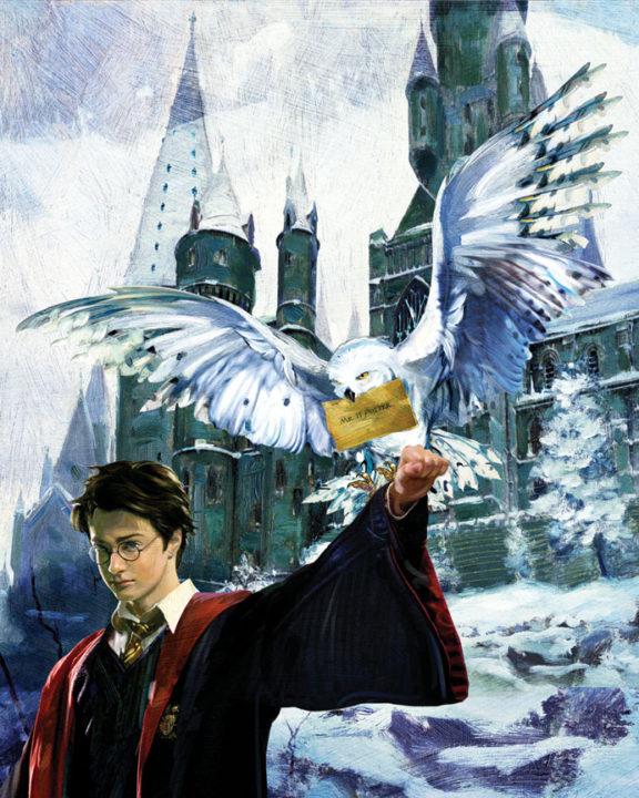 Harry and Hedwig