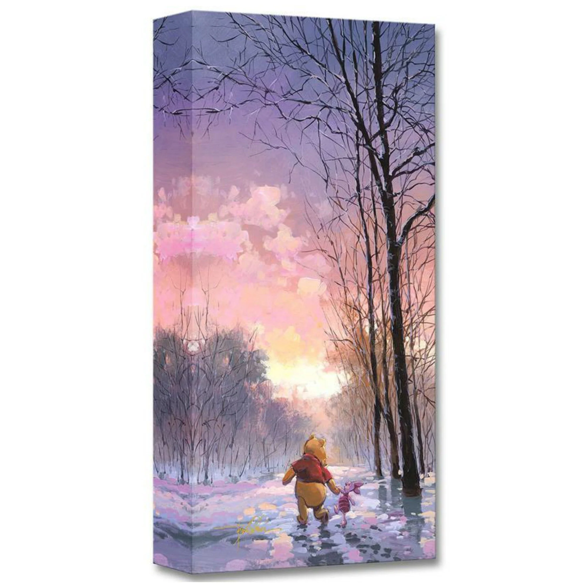 Snowy Path